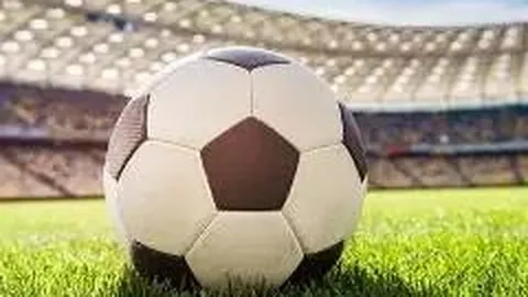 球盟会 产品 122335 rav